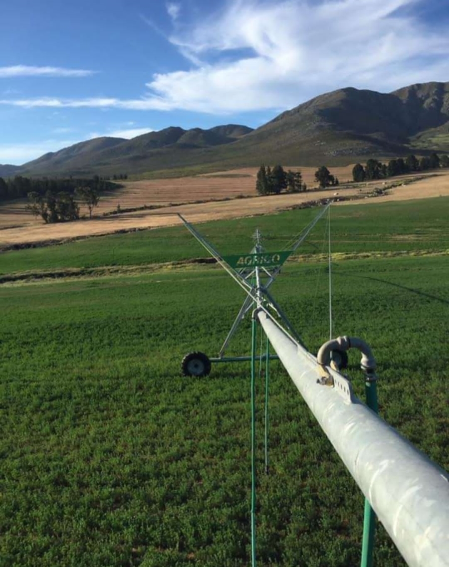 Commercial Property for Sale in Avontuur Western Cape